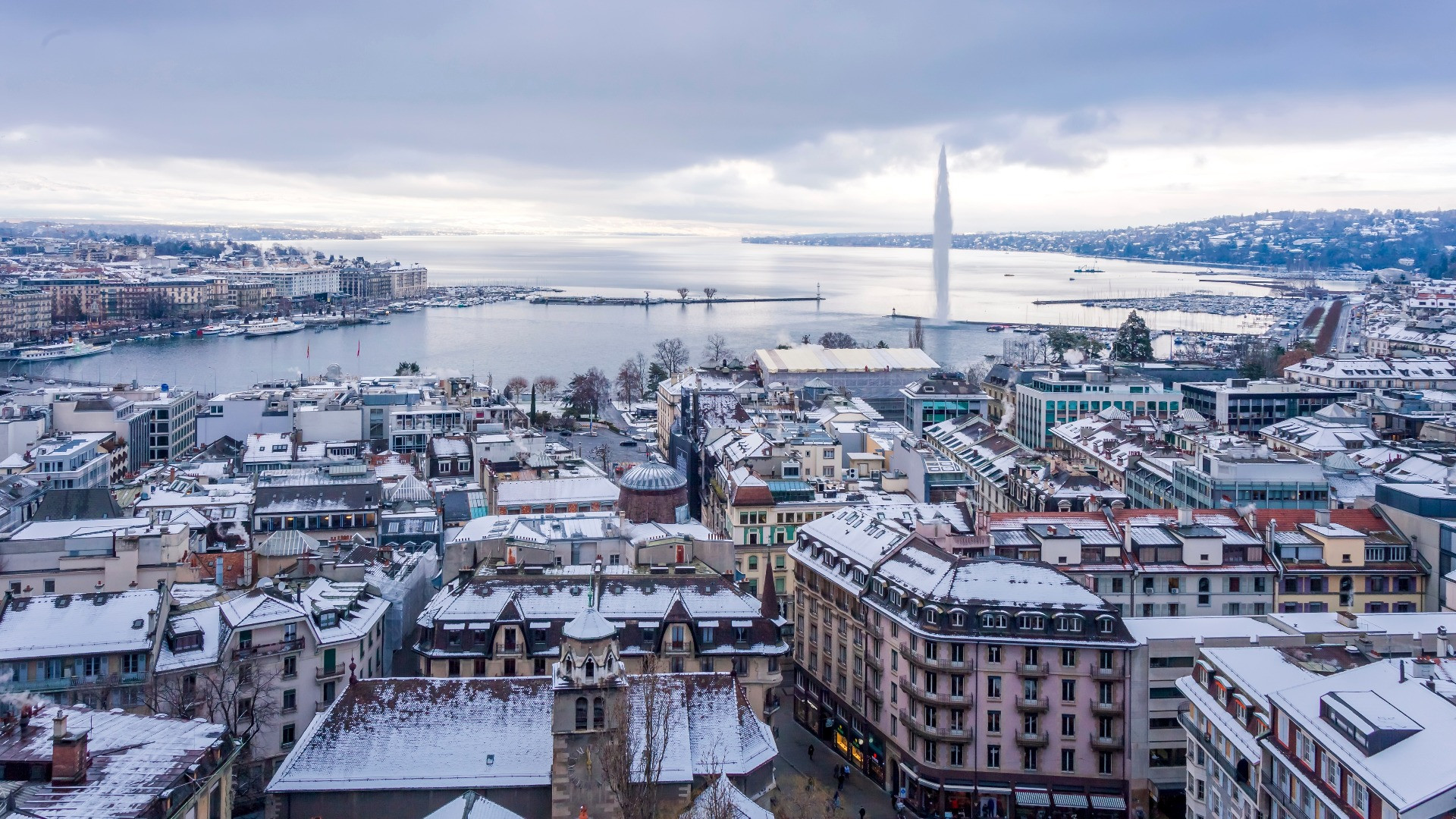 93e35825 1843 4082 a344 0e6b96532c8a